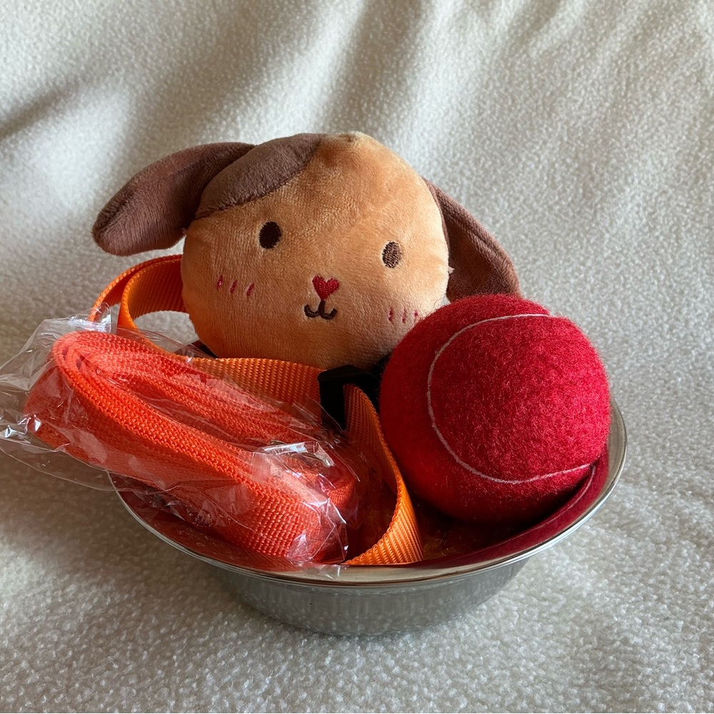 6 piece Dog Toy Set with accessories